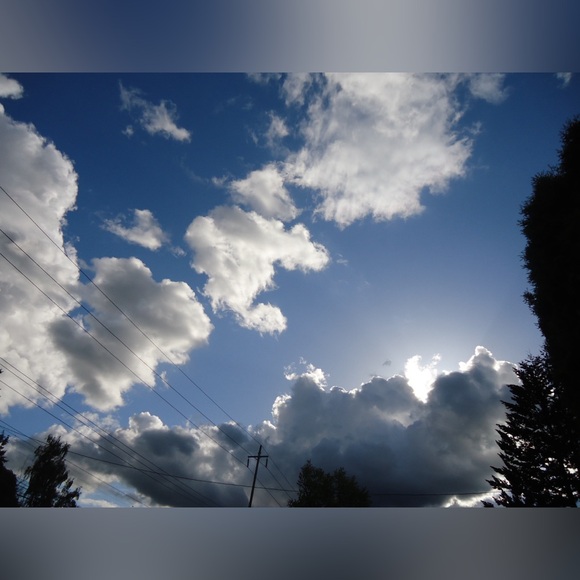 Sony Cyber-shot Dsc-w530 14.1 Megapixel Compact Camera - Picture 12 of 16